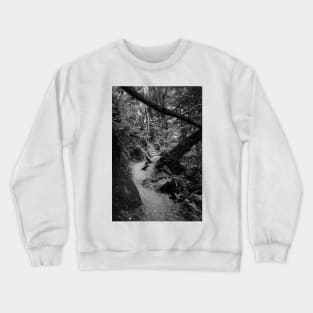 Muir Woods. Trail Entrance. 2012 Crewneck Sweatshirt